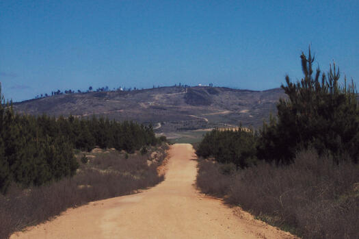 View of Mt Stromlo east forest trail near Misery Hill. Shows Stromlo Forest Park.