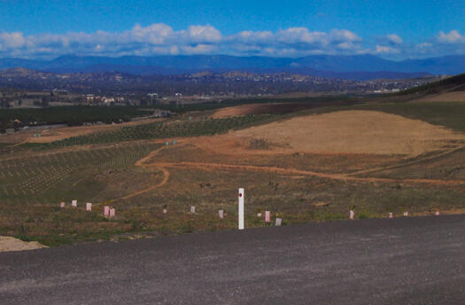 7 of 10 photographs of the National Arboretum - south over Central Valley to Weston Creek
