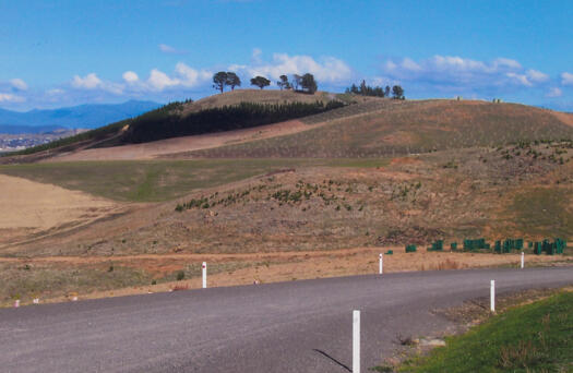 8 of 10 photographs of the National Arboretum - south west to Dairy Farmers Hill