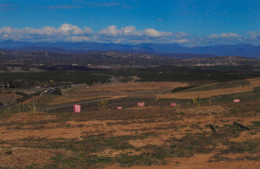 3 of 3 photographs of the Arboretum showing the Central Valley below Dairy Farmers Hill