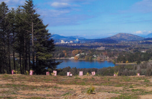 View south from Himalayan Cedar hill over Lake Burley Griffin, Government House, Yarralumla to Woden