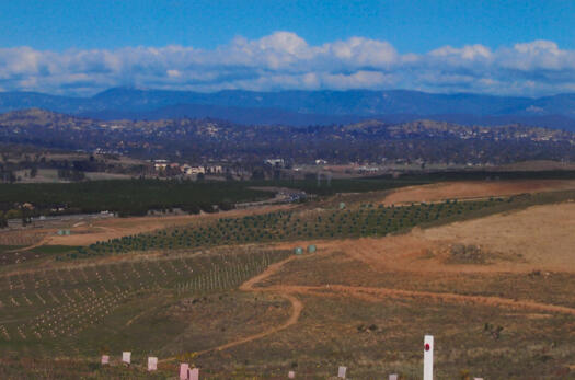 View south from Himalayan Cedar hill over the Central Valley of the Arboretum and Tuggeranong Parkway to Weston Creek