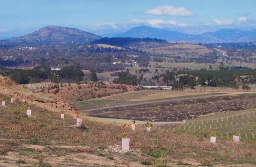 View south from top of the Arboretum road over Cypress Hill, Tuggeranong Parkway, Scrivener Dam to Weston Creek