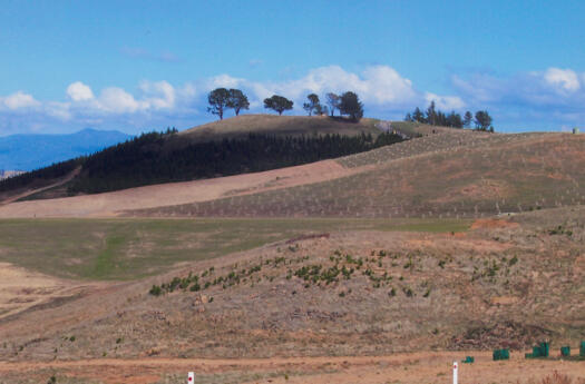 Dairy Farmers Hill from Arboretum access road