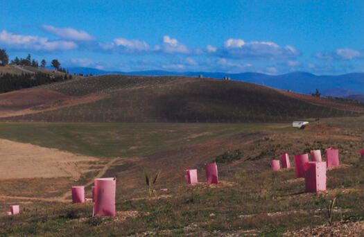 View from north to western end of Dairy Farmers Hill and proposed visitor centre site