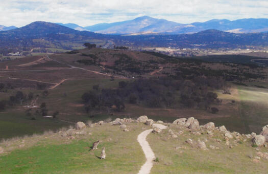 South from Mt Painter to Dairy Farmers Hill (western side)