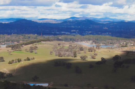 Arboretum from Mt Painter