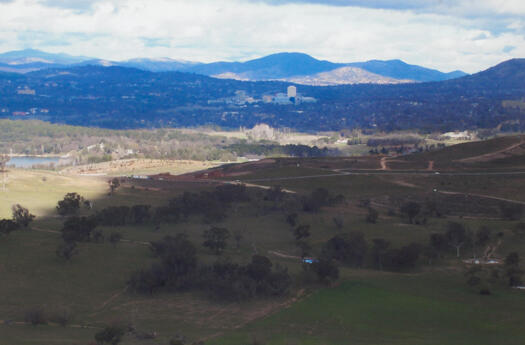 2 of 4 view south from Mt Painter to Himalayan Cedar hill