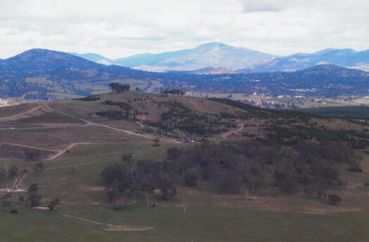 Arboretum from Mt Painter