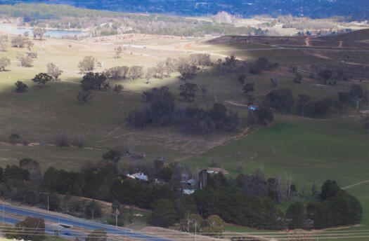Glenloch homestead from Mt Painter. Arboretum is in the background.