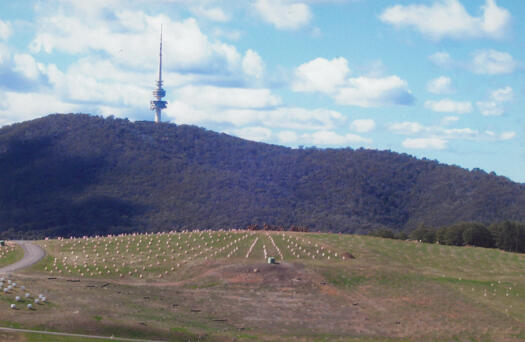 View from near the top of Dairy Farmers Hill north to Black Mountain across the Arboretum.