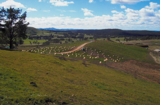 Arboretum ridge from Dairy Farmers Hill