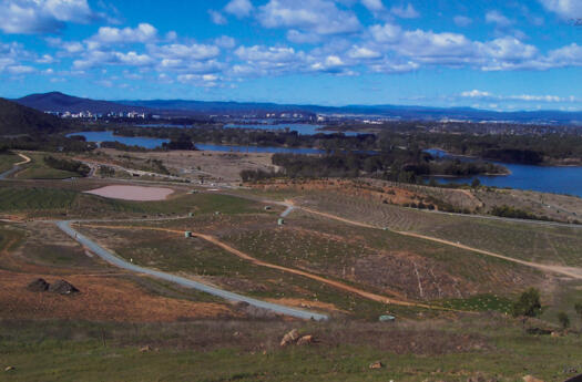 3 of 3 photos, north from Dairy Farmers Hill towards Civic. Shows forest plantings below the hill and the pond at the bottom of the Central Valley.