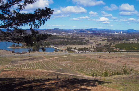 Dairy Farmers Hill to Scrivener Dam