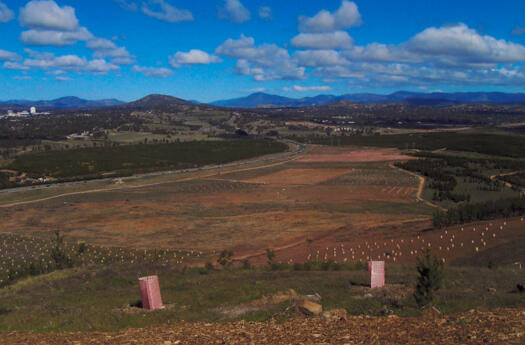 2 of 2 photos. View south from Dairy Farmers Hill across Arboretum.