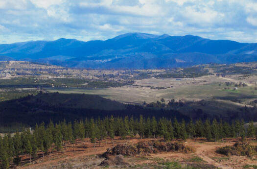 2 of 3 photos. View from Dairy Farmers Hill to Molonglo.