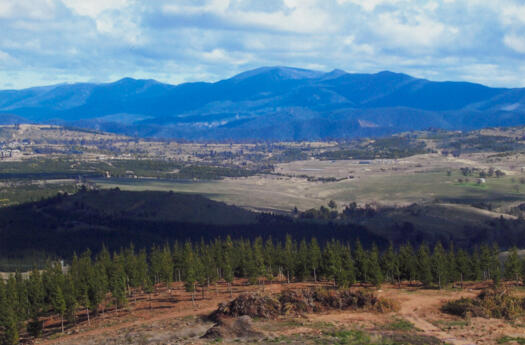 Dairy Farmers Hill to Molonglo