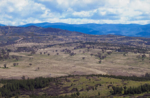 View of northern end of Mt Stromlo from Dairy Farmers Hill across Molonglo valley