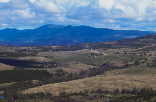 Stromlo Forest Park from Dairy Farmers Hill