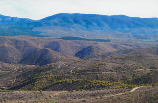 Western end of Cotter Dam from Mt McDonald. Dam water is not visible.