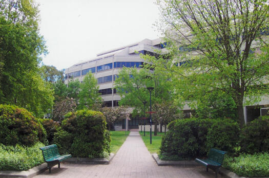 Veterans Park, Civic from corner of Bunda and Mort Streets