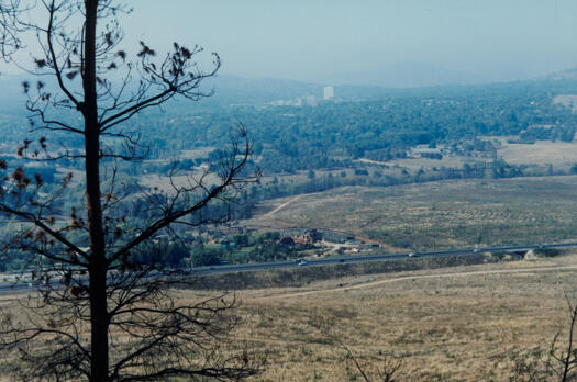 Dairy Farmers Hill to Woden