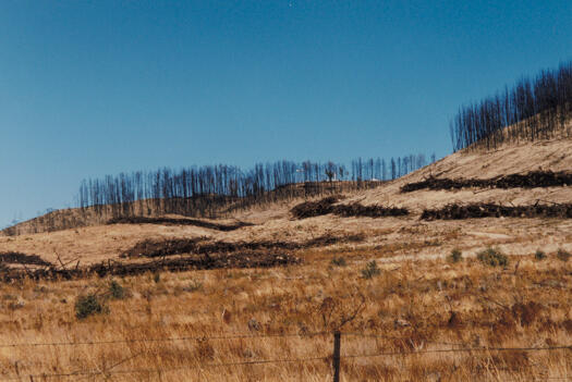 Mt Stromlo south from Uriarra Road