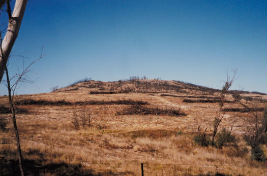 North end of Mt Stromlo from Uriarra Road