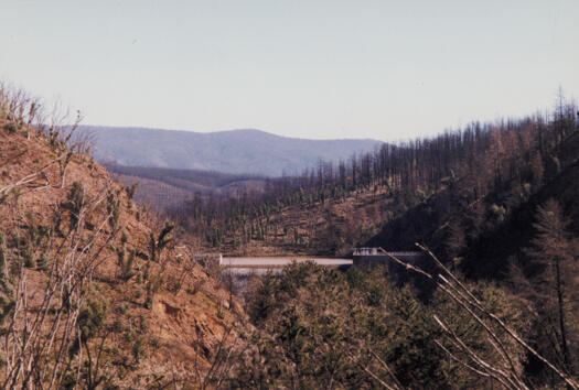 Cotter Dam west from Brindabella Road