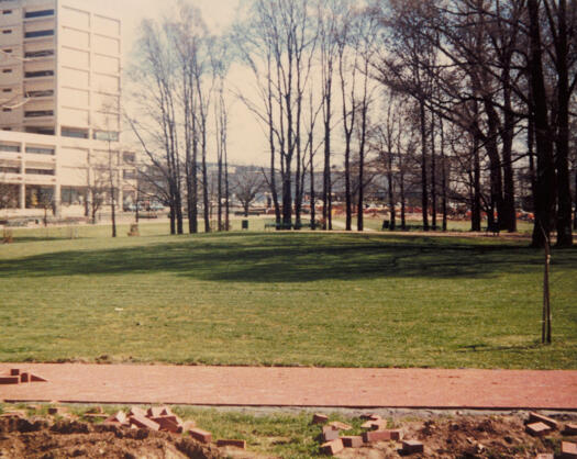 View across Glebe Park towards Monaro Mall