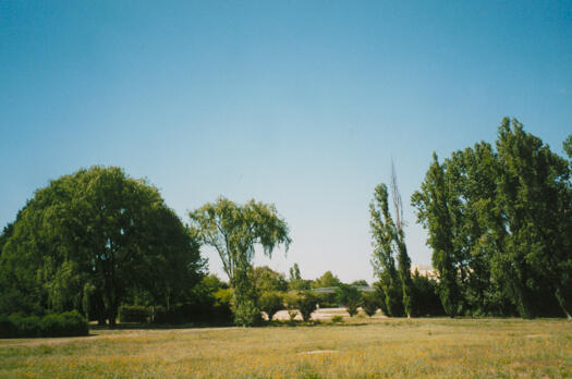 View from Glebe Park across vacant block to Coranderrk Street overpass