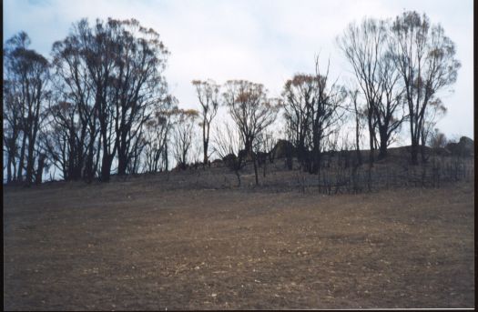 Collection of 24 photographs taken around the Tidbinbilla Nature Reserve, Nil Desperandum, Rock Valley and Flints Picnic Ground showing the aftermath of the fires of 17-18 January 2003. Members of the Tidbinbilla Pioneers Association were shown around the area shortly after the fires.