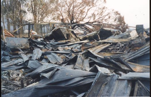 Aftermath of the bushfires at Tidbinbilla