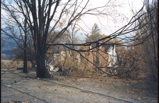 Aftermath of the bushfires at Tidbinbilla