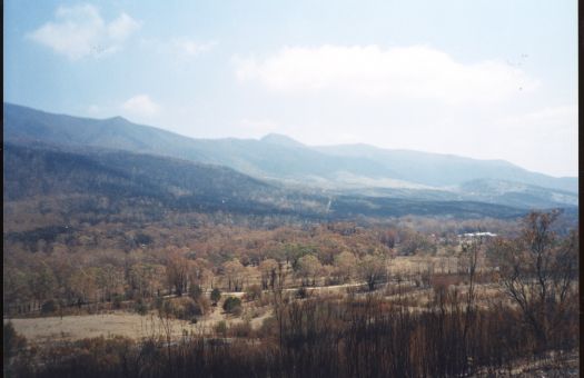 Aftermath of the bushfires at Tidbinbilla