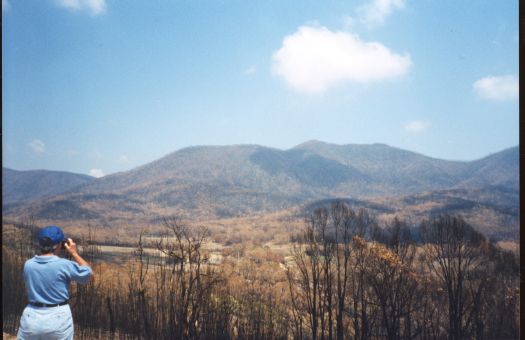 Collection of 24 photographs taken around the Tidbinbilla Nature Reserve, Nil Desperandum, Rock Valley and Flints Picnic Ground showing the aftermath of the fires of 17-18 January 2003.
Members of the Tidbinbilla Pioneers Association were shown around the area shortly after the fires.