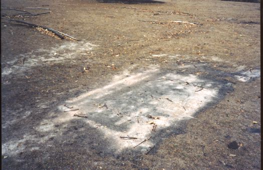 Collection of 24 photographs taken around the Tidbinbilla Nature Reserve, Nil Desperandum, Rock Valley and Flints Picnic Ground showing the aftermath of the fires of 17-18 January 2003.
Members of the Tidbinbilla Pioneers Association were shown around the area shortly after the fires.