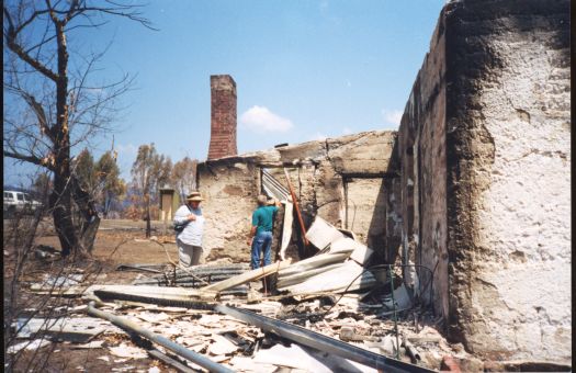 Aftermath of the bushfires at Tidbinbilla