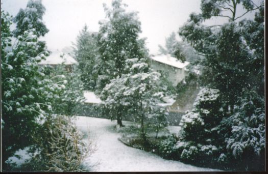 Unidentified scene showing snow falling on houses.