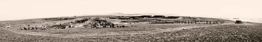 This is a panoramic photograph looking north showing the Molonglo Concentration Camp under construction in what is now Fyshwick. It is a copy from a digital version.