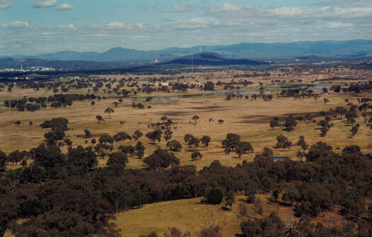 View of the evolving Gungahlin district.