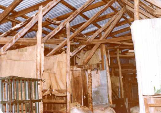 Inside of Ted Tong's slab shed at Upper Naas