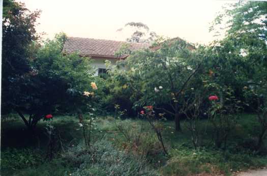 Original brick rendered house probably in Reid, partly hidden by garden