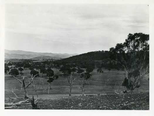 Unnamed view but the Urambi Hills and the Brindabellas are visible. Probably taken from Long Gully Road in the vicinity of Mawson looking south west. The foothills of Mt Taylor are at right.