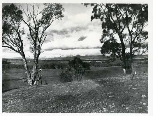 Probably the snow covered Brindabella mountains. Buildings are visible in the mid ground as is a line of trees probably marking a river.