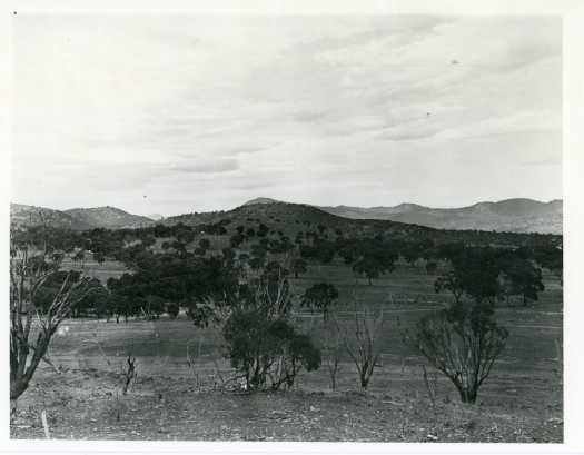 Unnamed view but Mt Tennant is just visible over the top of a hill. Probably taken from Simpsons Hill.