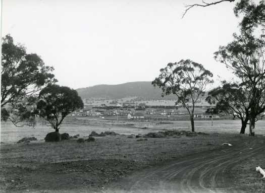 Scattered cottages as seen from track on lower slopes of Mt Ainslie looking towards Black Mountain. Possible that Hotel Ainslie is obscured by trees to the left.Could be mid 1920s.