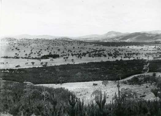 Shows pine plantations and extensive view probably to the south.