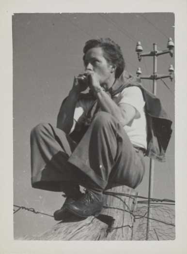 Patience is sitting on a fence post. One of several photos taken on this outing.