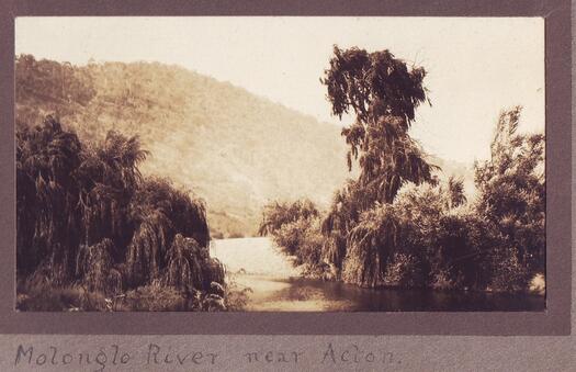 Molonglo River near Acton. Black Mountain is at the rear. Willows line the river bank.